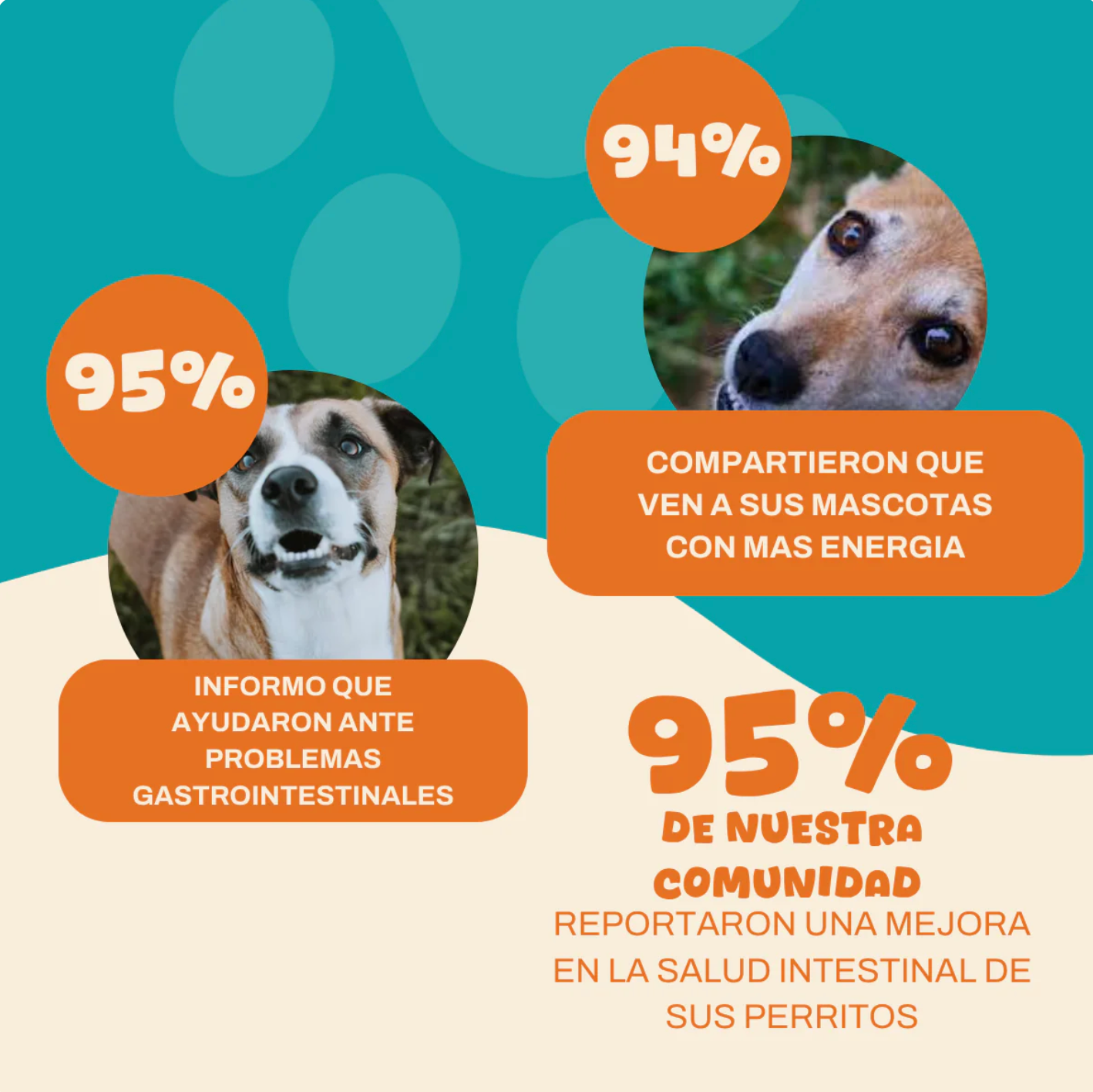 PROBIX - Probiótico para perros