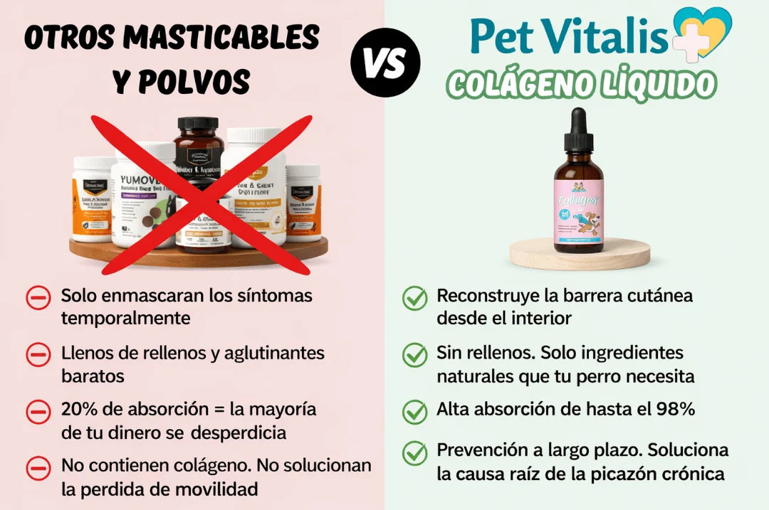 PetVitalis - Colágeno para perros
