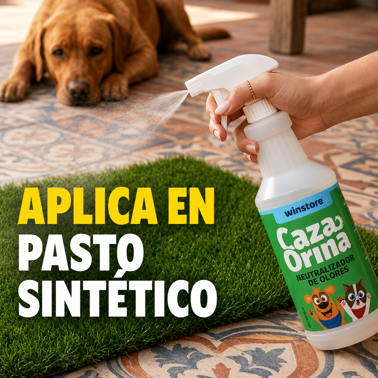 Cazaorina Pets: Eliminador Definitivo de Olores de Mascotas (Sin Cloro)