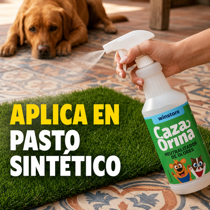 Cazaorina Pets: Eliminador Definitivo de Olores de Mascotas (Sin Cloro)