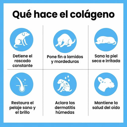 PetVitalis - Colágeno para perros