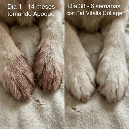 PetVitalis - Colágeno para perros