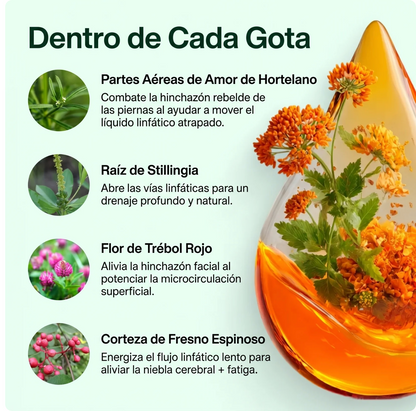 Drenaje Linfático Mayaverra - Gotas Naturales