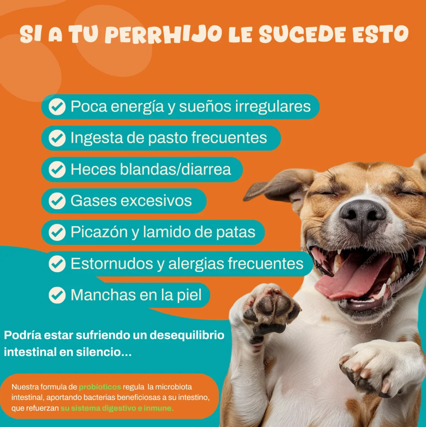 PROBIX - Probiótico para perros